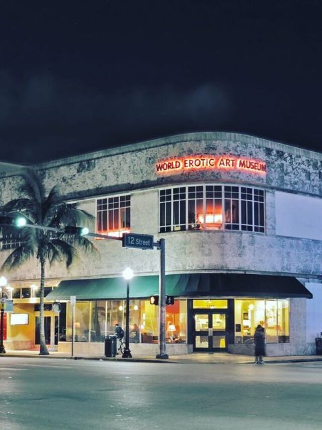 Fun Things To Do In and Around South Beach - SocialViral1.com