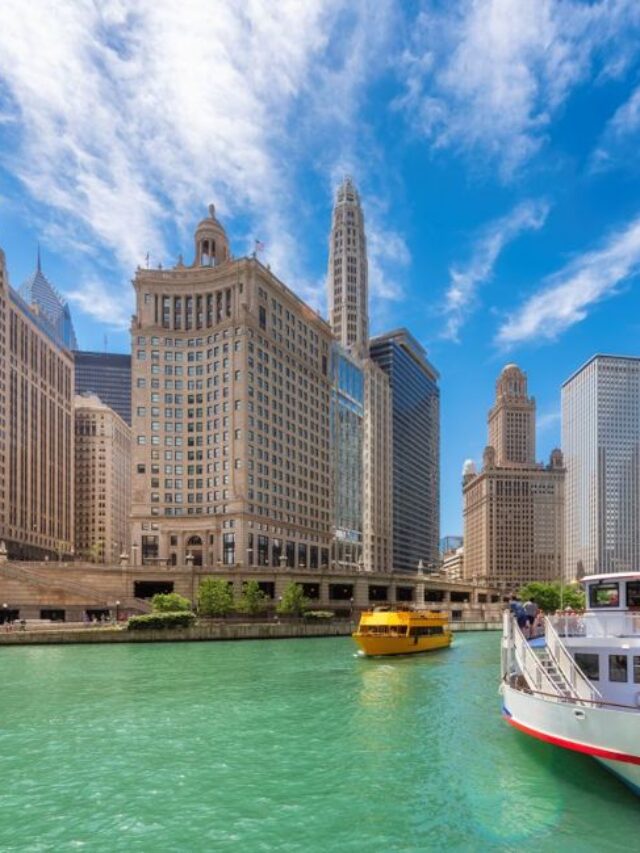 Unmissable Activities in Downtown Chicago